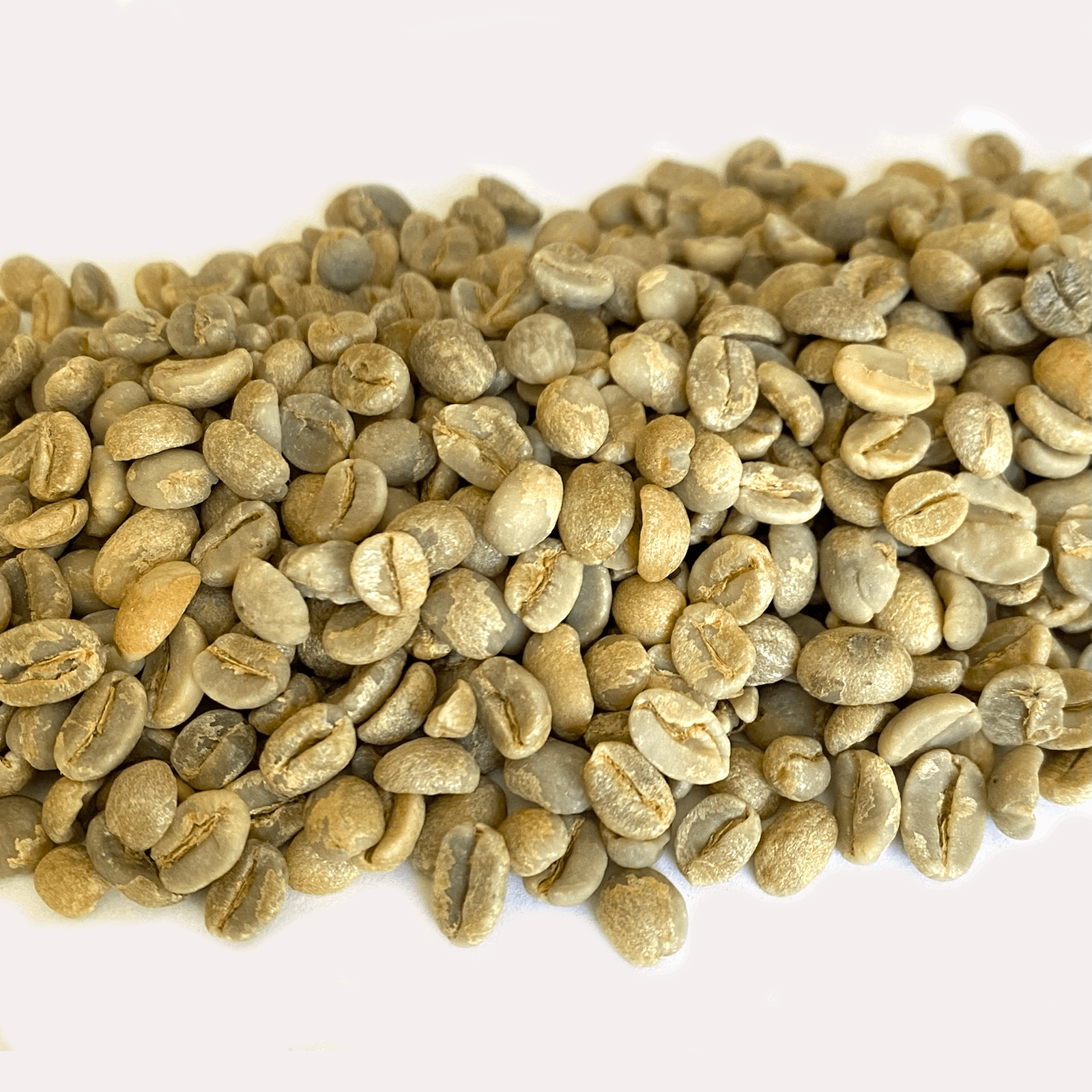 Yemeni Green Coffee Beans Coffee Bean Corral